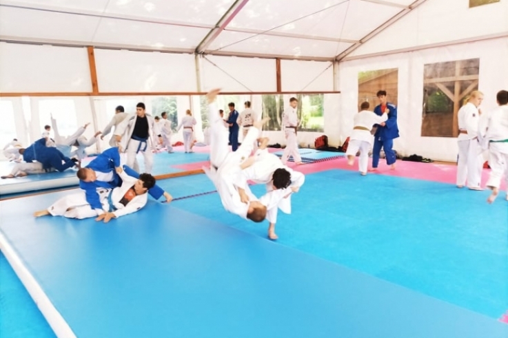 judo